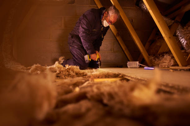 Best Insulation Maintenance and Repair in Germantown Hls, IL